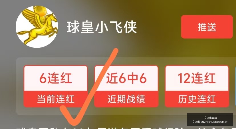 欧洲篮球盛,女篮组赛事,深度解析,10bet体育指数,体育赛事指数平台,足球赛事指数,比赛指数数据,体育赛事信息