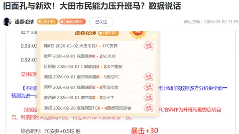 WNBA球队优化阵容，力争季后赛辉煌