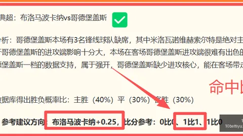 达拉斯飞翼对芝加哥天空：对决终极指南